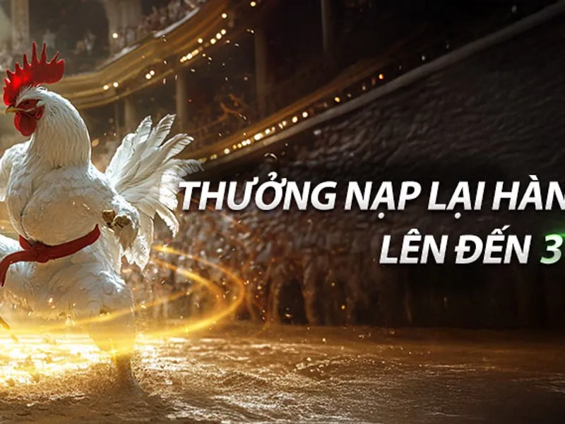 Ưu đãi nạp lại hàng ngày