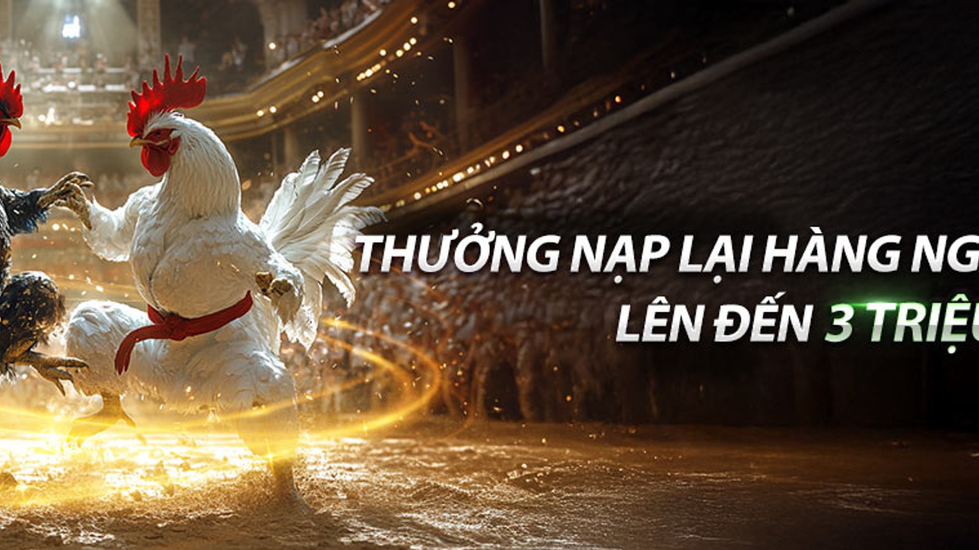 Hình ảnh tiền hoàn trả hàng ngày và các biểu tượng cá cược trực tuyến